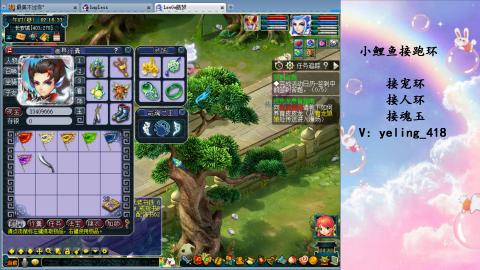 接命魂之玉 人环 宠环