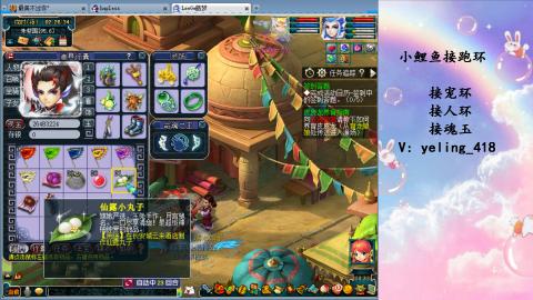 接命魂之玉 人环 宠环