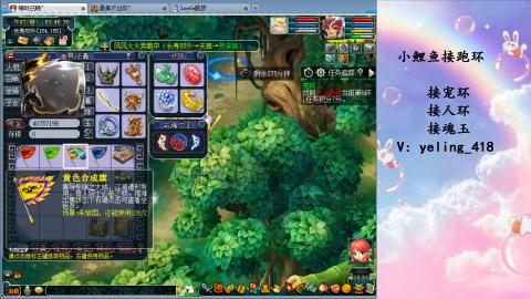 接命魂之玉 人环 宠环