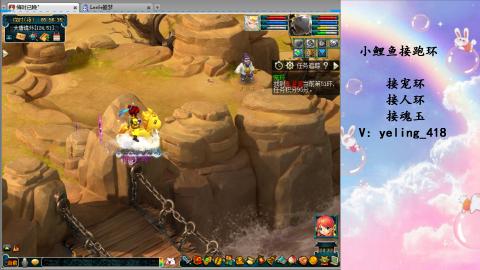 接命魂之玉 人环 宠环