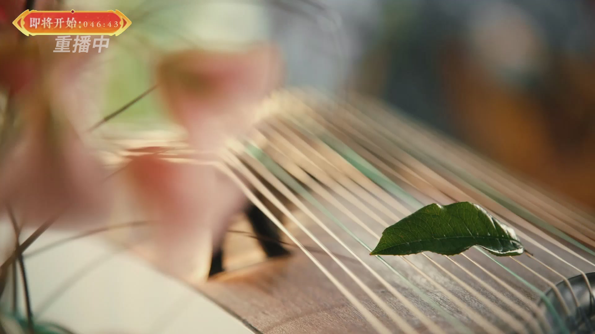 【重播】畅玩服新春巅峰赛-决赛