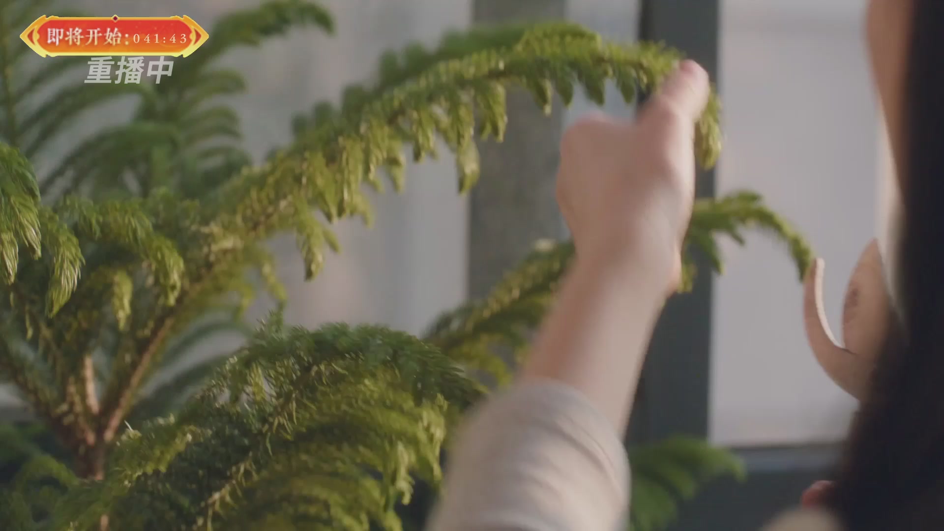 【重播】畅玩服新春巅峰赛-决赛