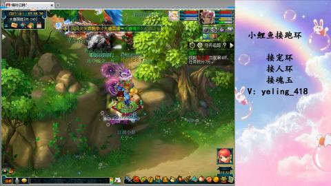 接命魂之玉 人环 宠环