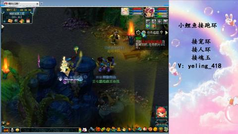 接命魂之玉 人环 宠环