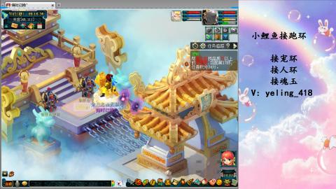 接命魂之玉 人环 宠环