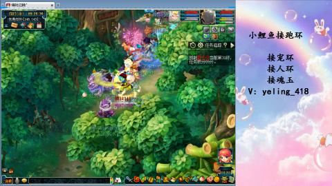 接命魂之玉 人环 宠环