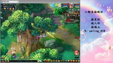 接命魂之玉 人环 宠环