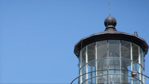 只希望我能带给你们快乐