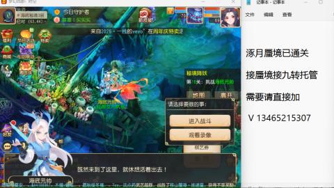 接九转蜃境托管~