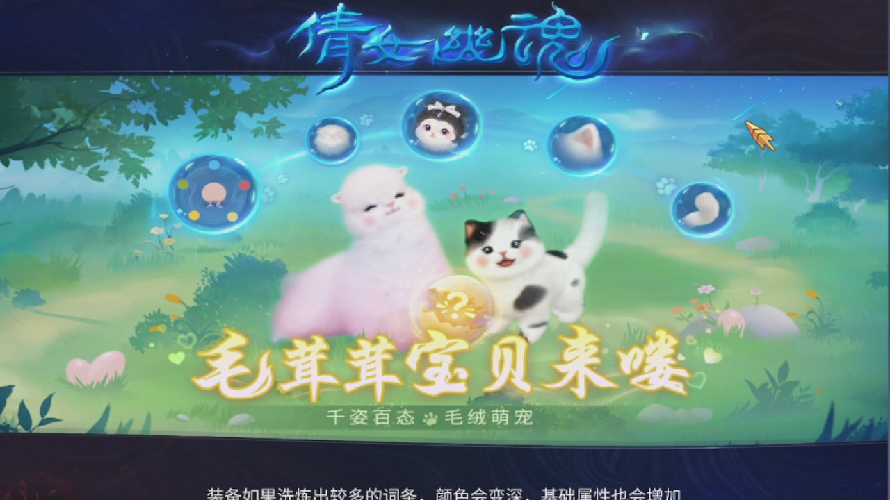 欢迎来看我的直播～