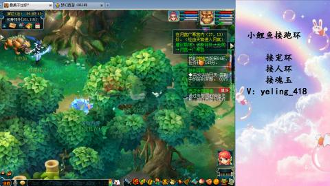 接命魂之玉 人环 宠环