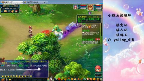 接命魂之玉 人环 宠环