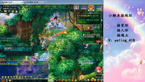 接命魂之玉 人环 宠环