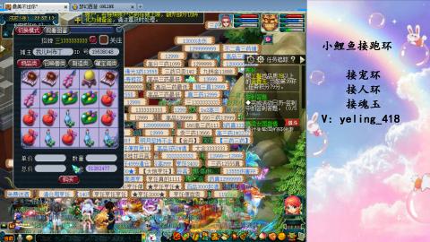 接命魂之玉 人环 宠环