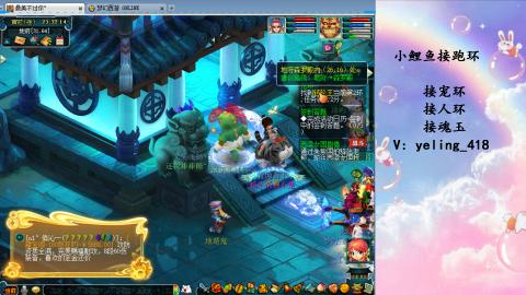 接命魂之玉 人环 宠环