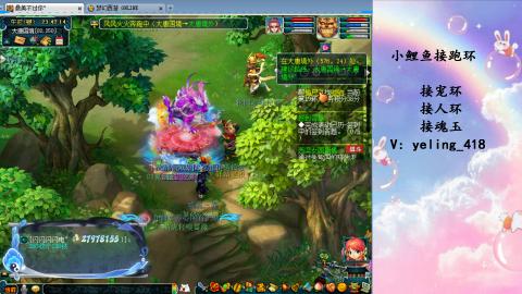 接命魂之玉 人环 宠环