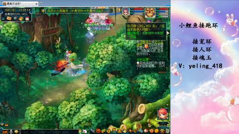 接命魂之玉 人环 宠环