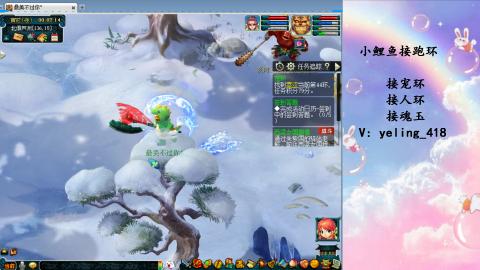 接命魂之玉 人环 宠环