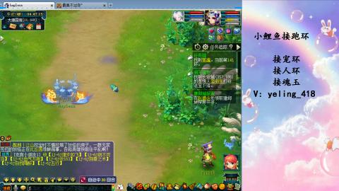 接命魂之玉 人环 宠环