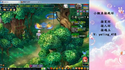 接命魂之玉 人环 宠环