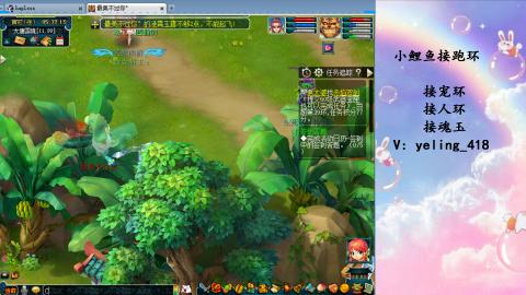 接命魂之玉 人环 宠环