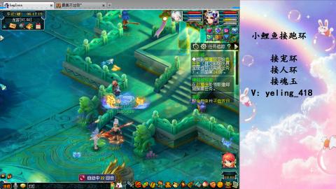 接命魂之玉 人环 宠环