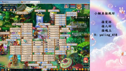 接命魂之玉 人环 宠环