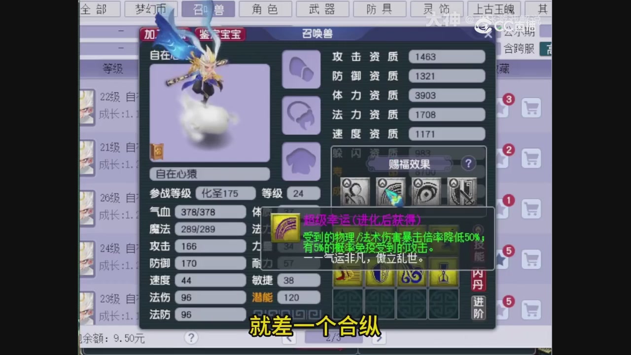 【梦幻轮播】大飞精彩内容