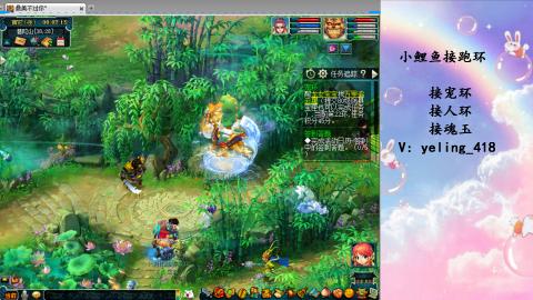 接命魂之玉 人环 宠环