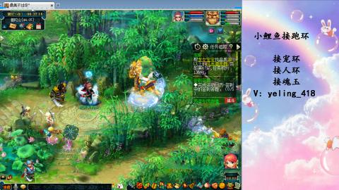 接命魂之玉 人环 宠环