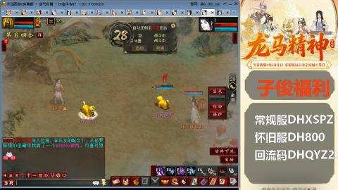 新服<龙马精神>新手码：DHXSPZ