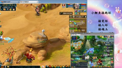 接命魂之玉 人环 宠环