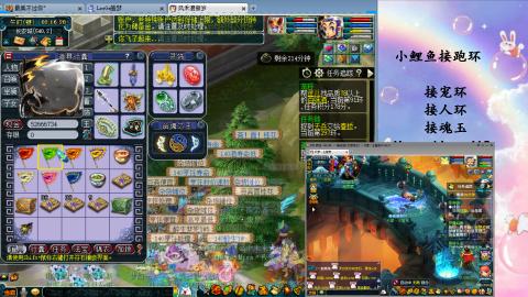 接命魂之玉 人环 宠环