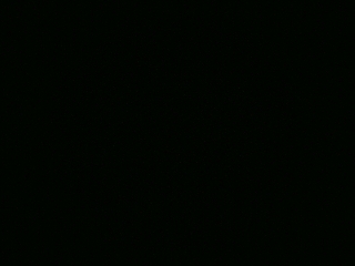 不要留下我一个人孤军奋战..