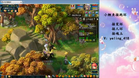 接命魂之玉 人环 宠环