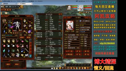 阿凯搭配装备中