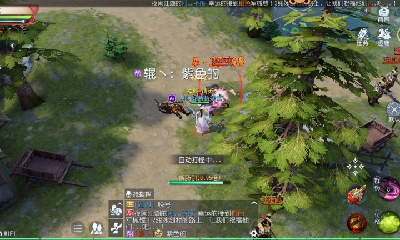 欢迎来看我的直播～