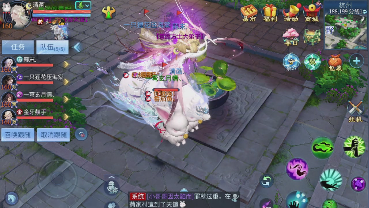 欢迎来看我的直播～