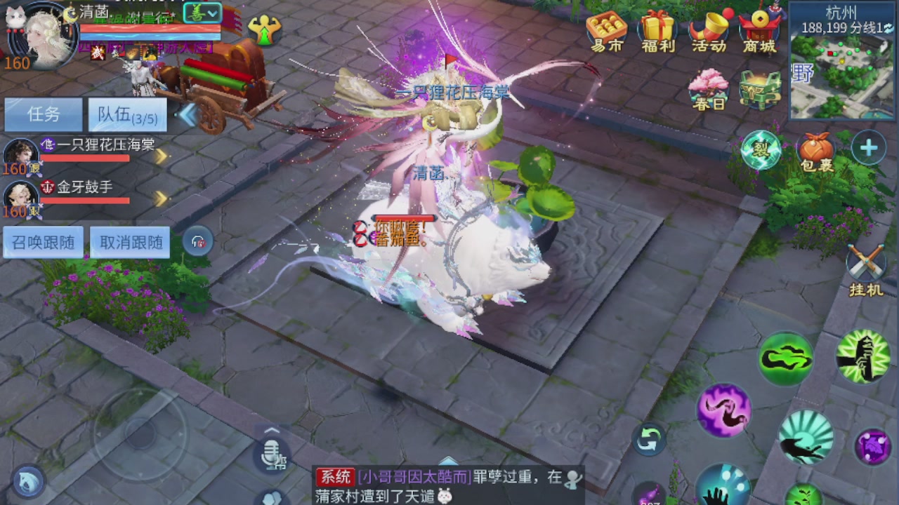 欢迎来看我的直播～