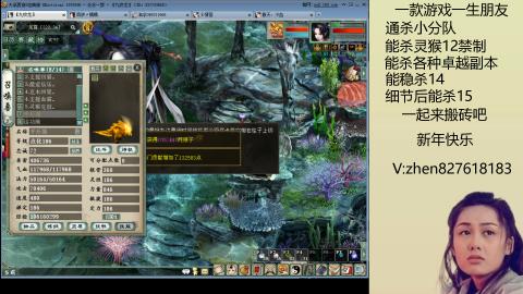 无属性双盘小分队