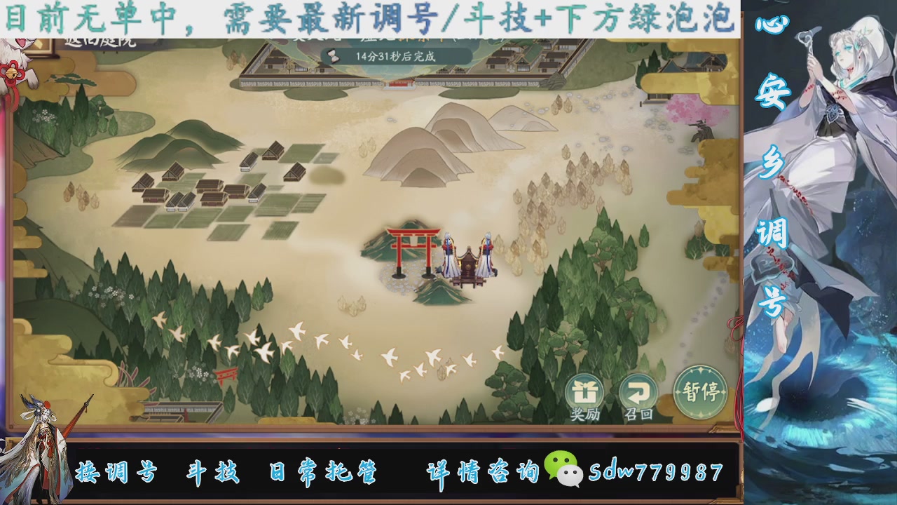 接调号|斗技|托管