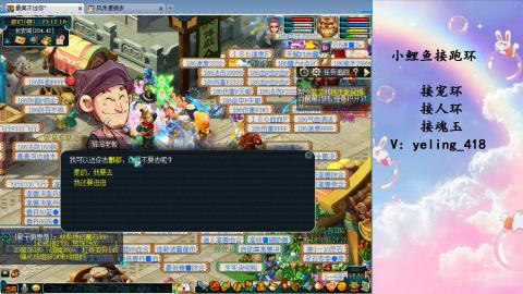 接命魂之玉 人环 宠环