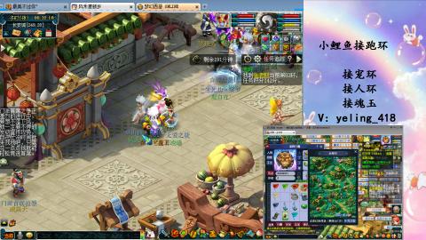 接命魂之玉 人环 宠环