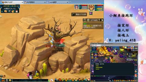 接命魂之玉 人环 宠环