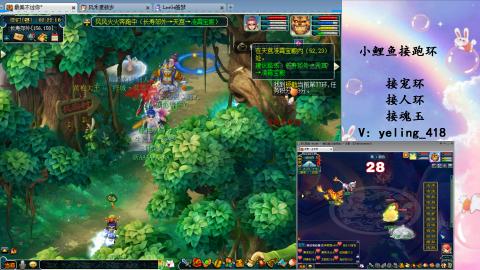 接命魂之玉 人环 宠环