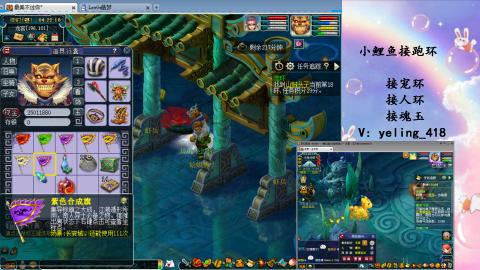 接命魂之玉 人环 宠环