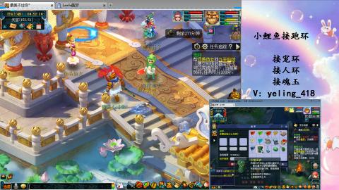 接命魂之玉 人环 宠环