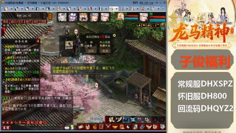 新服<龙马精神>新手码：DHXSPZ