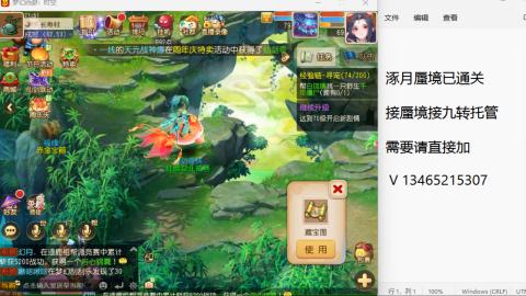 接九转蜃境托管~