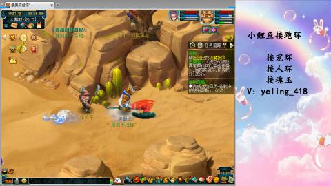 接命魂之玉 人环 宠环